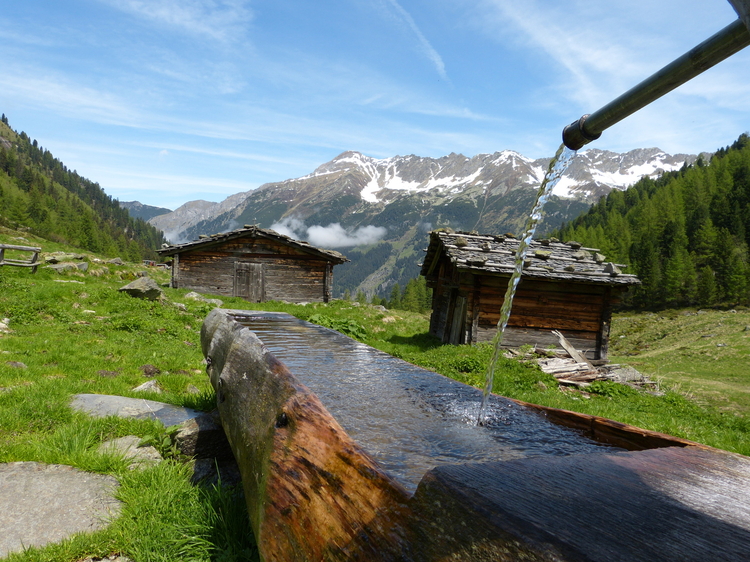 Holzbrunnen mit Quellwasser